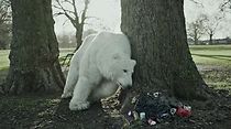 Watch The Homeless Polar Bear (Short 2012)