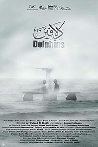 Watch Dolphins