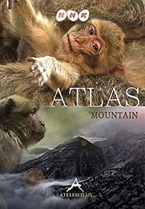 Watch Atlas Mountain: Barbary Macaques - Childcaring Is the Man's Job