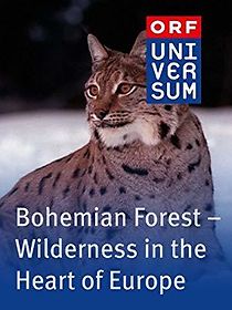Watch Böhmerwald - Wildnis im Herzen Europas