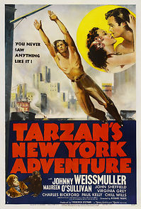 Watch Tarzan's New York Adventure