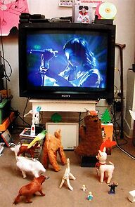 Watch Björk: Live at Cambridge