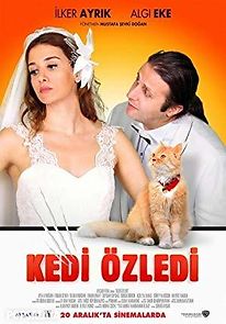 Watch Kedi Özledi