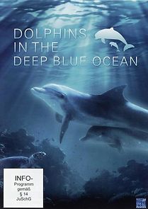 Watch Dolphins in the Deep Blue Ocean