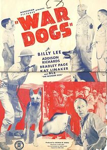 Watch War Dogs
