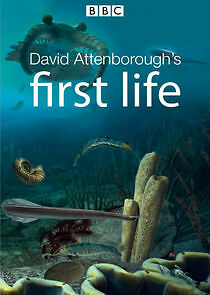Watch David Attenborough's First Life