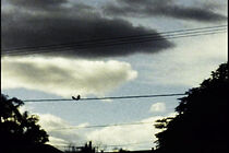 Watch For a Brighter Day (Short 2004)