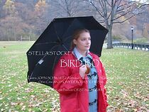 Watch Bird Boy (Short 2004)