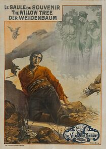 Watch The Willow Tree (Short 1911)