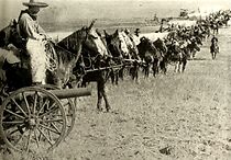 Watch How States Are Made (Short 1912)