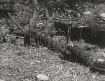 Watch Enas Karpasitis (Short 1979)