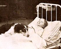 Watch Playmates (Short 1912)