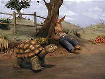 Watch The Story of 'The Tortoise & the Hare' (Short 2002)