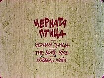 Watch The Black Bird (Short 1981)
