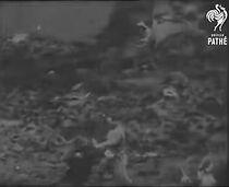 Watch The Dispatch Bearer (Short 1900)