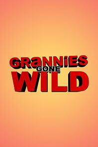 Watch Grannies Gone Wild (TV Special 2013)