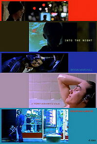 Watch Into the Night (Short 2002)