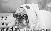 Watch The Pug Snatcher (Short 2013)