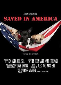 Watch Saved in America (Short 2015)