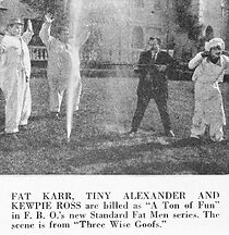 Watch Three Wise Goofs (Short 1925)