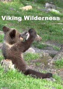 Watch Viking Wilderness