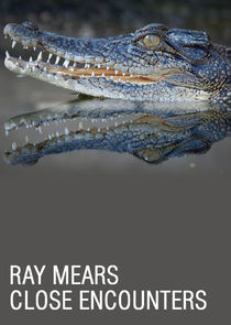 Watch Ray Mears: Close Encounters