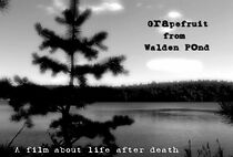 Watch Grapefruit from Walden Pond