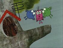 Watch Uhuha, the Little Owl (Short 1969)