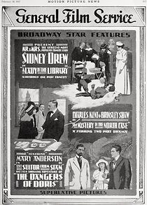 Watch The Mystery of the North Case (Short 1917)