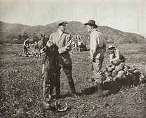 Watch The Higher Toll (Short 1911)