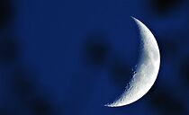 Watch Kõrbekuu (Short 1999)