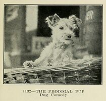 Watch The Prodigal Pup (Short 1929)