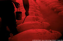 Watch Tokyo en Bolex (Short 1999)