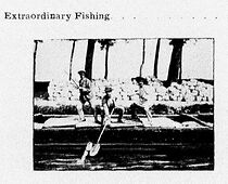Watch Extraordinary Fishing (Short 1902)
