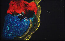 Watch Intransit (Short 2014)