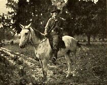 Watch Special Messenger (Short 1911)