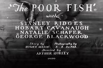 Watch The Poor Fish (Short 1930)