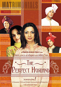 Watch The Perfect Husband