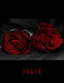 Watch Touch (Short 2006)