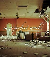 Watch In a Perfect World... (Short 2013)