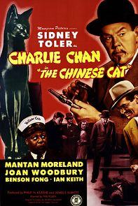 Watch Charlie Chan in The Chinese Cat