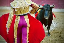 Watch Aging Bulls: The Science and Drama of Male Aging.