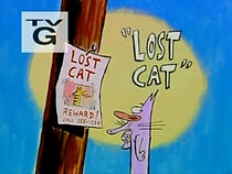 Watch Lost Cat (TV Short 2000)