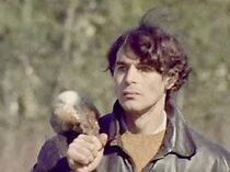 Watch De vagues herbes jaunes