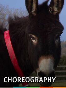 Watch Choreography (Short 2014)