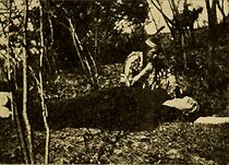 Watch Starlight's Devotion (Short 1910)