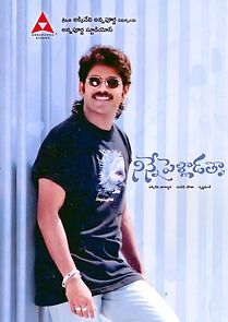 Watch Ninne Pelladatha