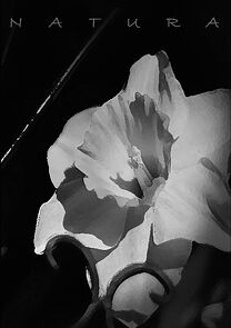 Watch Natura (Short 2011)