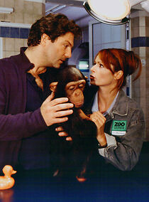 Watch Tierärztin Dr. Mertens