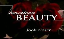 Watch American Beauty: Look Closer...